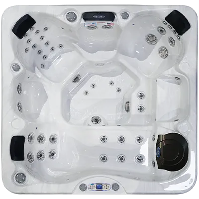 Avalon EC-849L hot tubs for sale in Frisco
